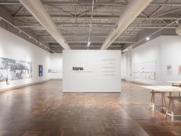 Installation view of exhibition. Photo: Brenton McGeachie