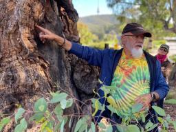 Wally Bell guiding a cultural tour of Kambri, ANU