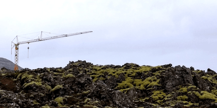 Crane in the lava field. Iceland. Photo by Marek Pawlak