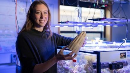 Reefinement: Using design and science to support reef ecology