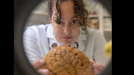 PhD Scholar Alannah Pearson holds an endocast, a model of the brain, up close to the camera, wearing a white labcoat.