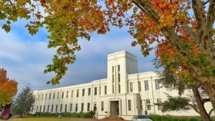 Honours students recipients of prestigious scholarships