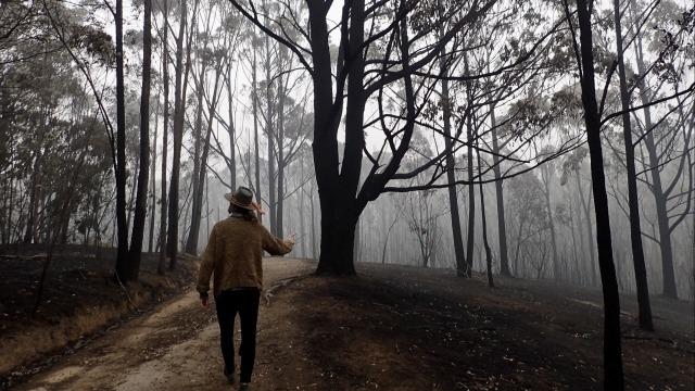 PhD Oral Presentation - Meanings on Music in post-firestorm Mallacoota NYE 2019