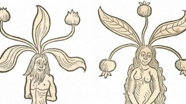 Research Seminar: Towards Hetero-Optimism