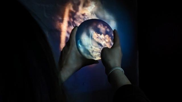 Mycelium and Microscopes