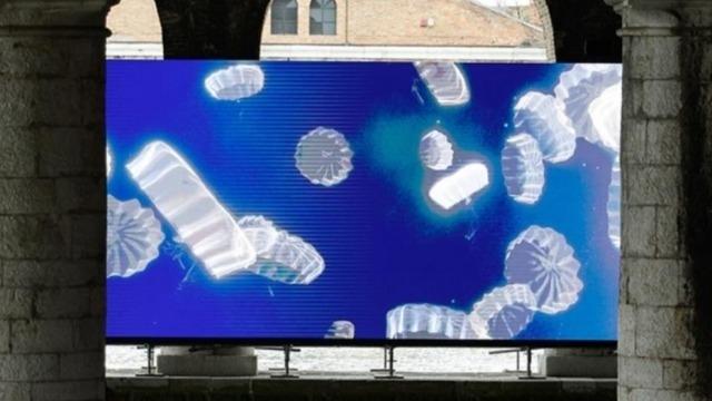 Ginevra Addis | Biodiversity and Contemporary Art: Exploring Convergence
