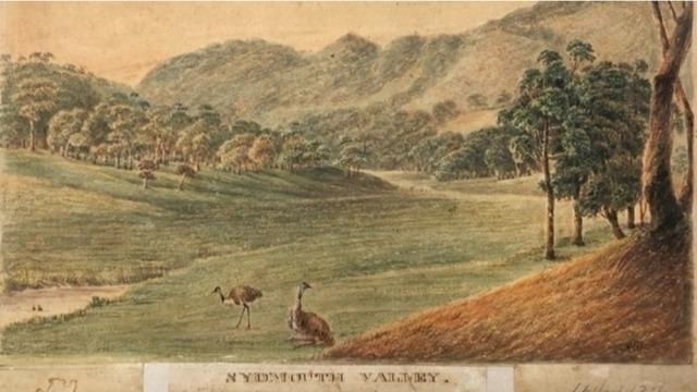 Catherine Webb | Colonial Australian Artist John Lewin: ‘English Eyes’, Truth to Nature, or Both?