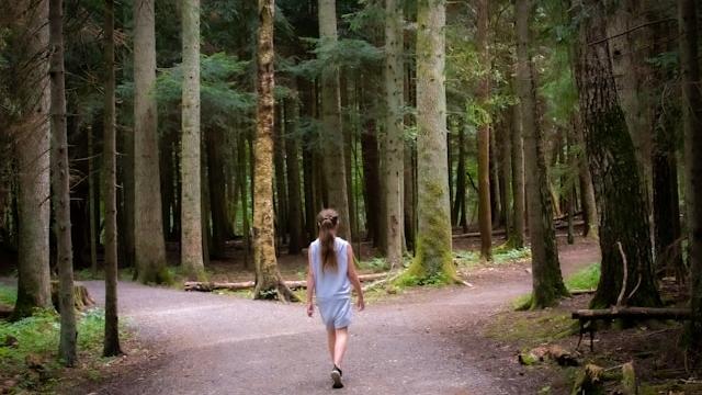 Pathways in Linguistics panel discussion, 1-2pm 8th Aug (Pathways in Linguistics series)