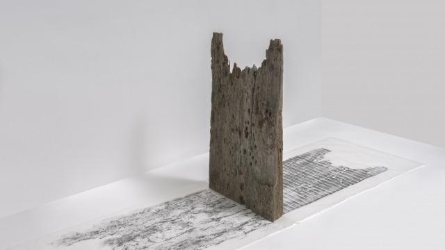 Tracing the Grain: Locating the life of the tree in the woodblock | Julian Laffan