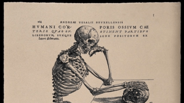 Borderline images and how to use them: A visual medical humanities masterclass with Professor Ludmilla Jordanova (Durham University)