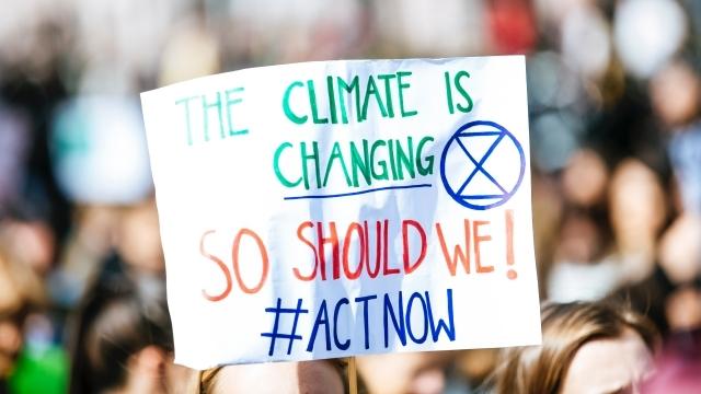 New Democracy Sausage Episode: Mugged by reality: climate denial in retreat
