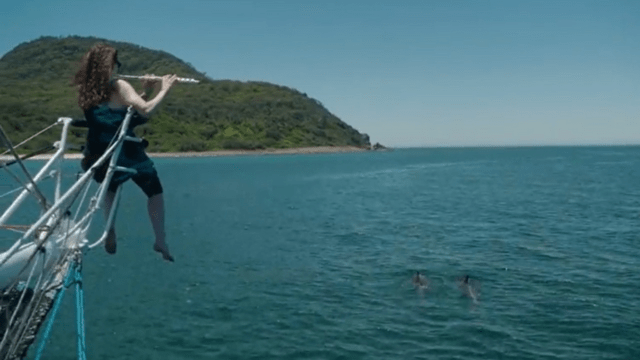 Musician Sally Walker plays her flute as dolphins swim alongside the boat and 'dance' to the melody. Photo: Murray Farrell
